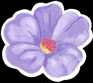 Bloom